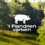 't Flandrien varken